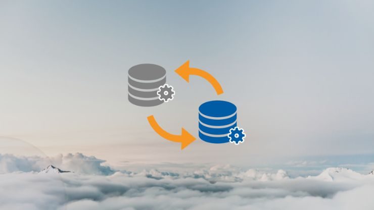 website migration manual