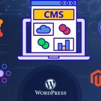 what is cms