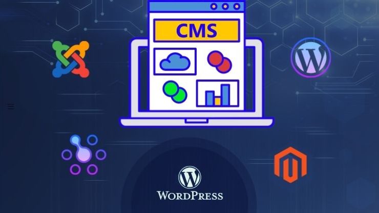 what is cms
